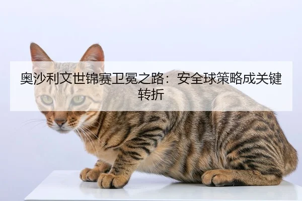 奥沙利文世锦赛卫冕之路：安全球策略成关键转折